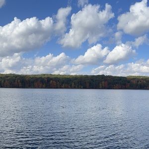 Meet your Posher, Dylan